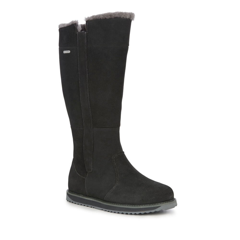 Bottes Emu Moonta Femme Grise Foncé | 75618-JTIM